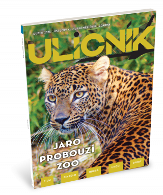 ulicnik_04_2025_web